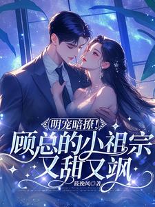 明宠暗撩顾总的小祖宗又甜又飒