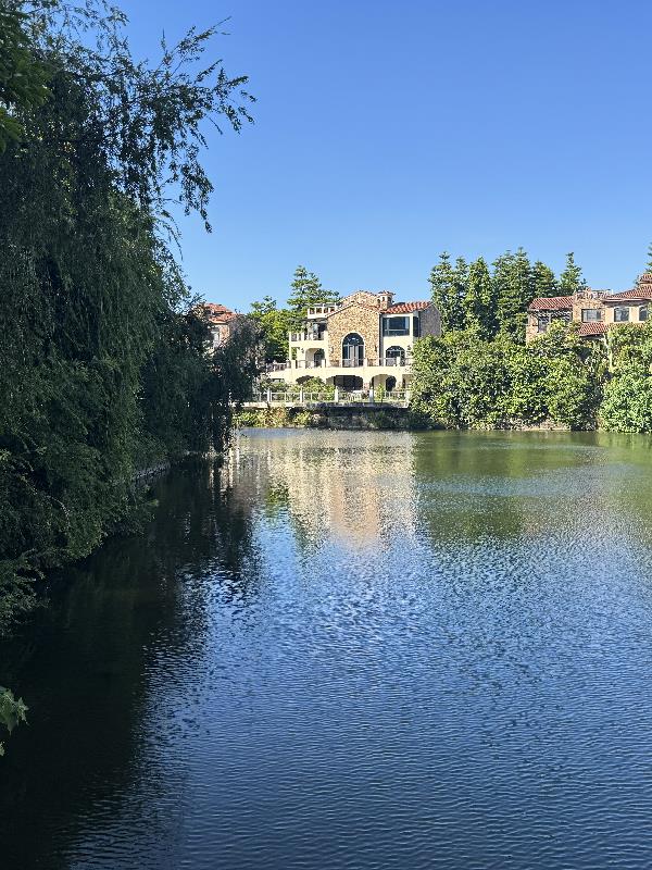 综影我自有精彩